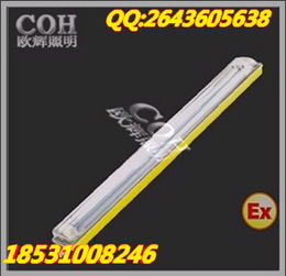 BCX6225粉塵防爆防腐熒光燈產(chǎn)品詳情 鎮(zhèn)流器特性與應用
