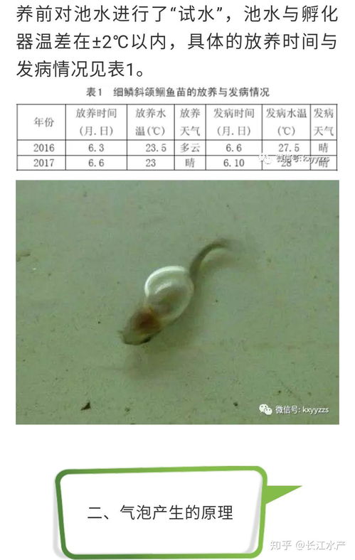 現代養殖業的雙輪驅動 工廠化循環水水產養殖與畜牧業養殖的協同發展